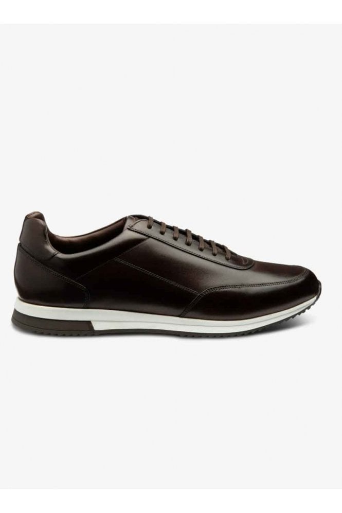 Bannister Premium Trainer - Dark Brown