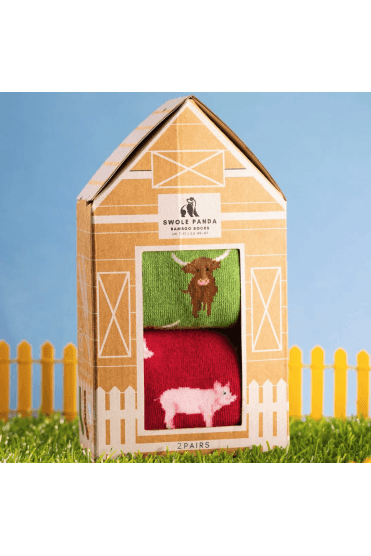 Barn Sock Box - 2 Pairs Multi