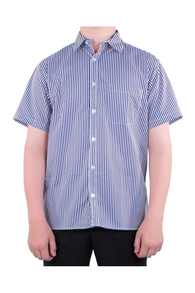 Boys Blue Stripe Short Sleeve Shirt