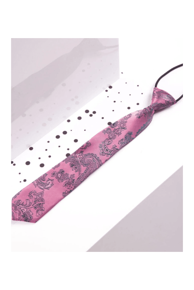 Boys Paisley Tie - Pink