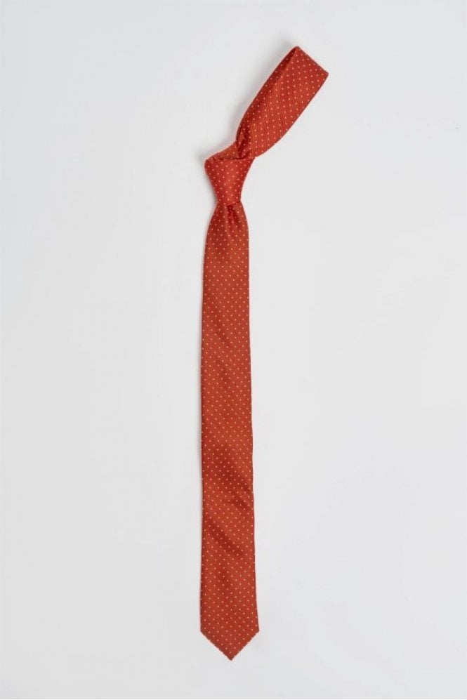Boys Polka Dot Tie Set – Orange