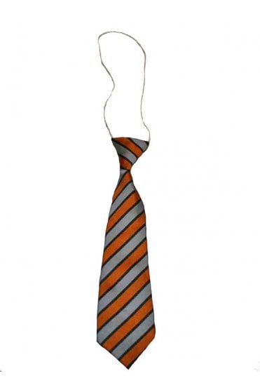 Harmony Hill Primary School Tie (Elasticated)