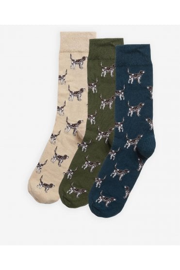 Pointer Dog Socks Gift Box – Forest Mist