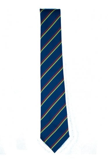 Wallace Girls 6th Form Tie
